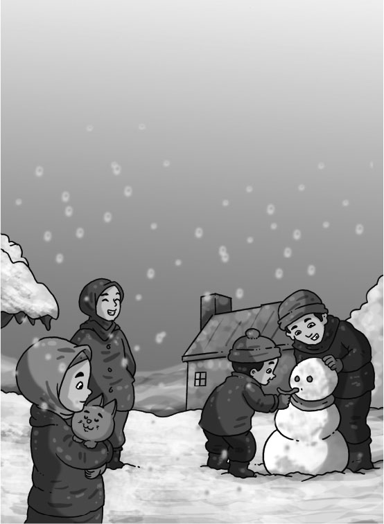 Ice or Snow Water Includes Absolute Water