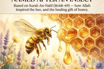 The Bees Secret A Surah Named After an Insect